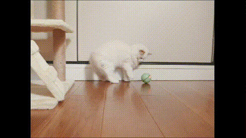 Electronic Self-moving Cat Ball